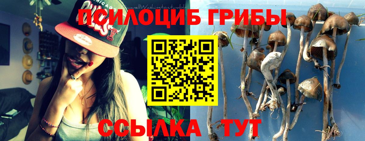 Галлюциногенные грибы Magic Shrooms Элиста
